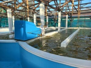 aquaculture construction