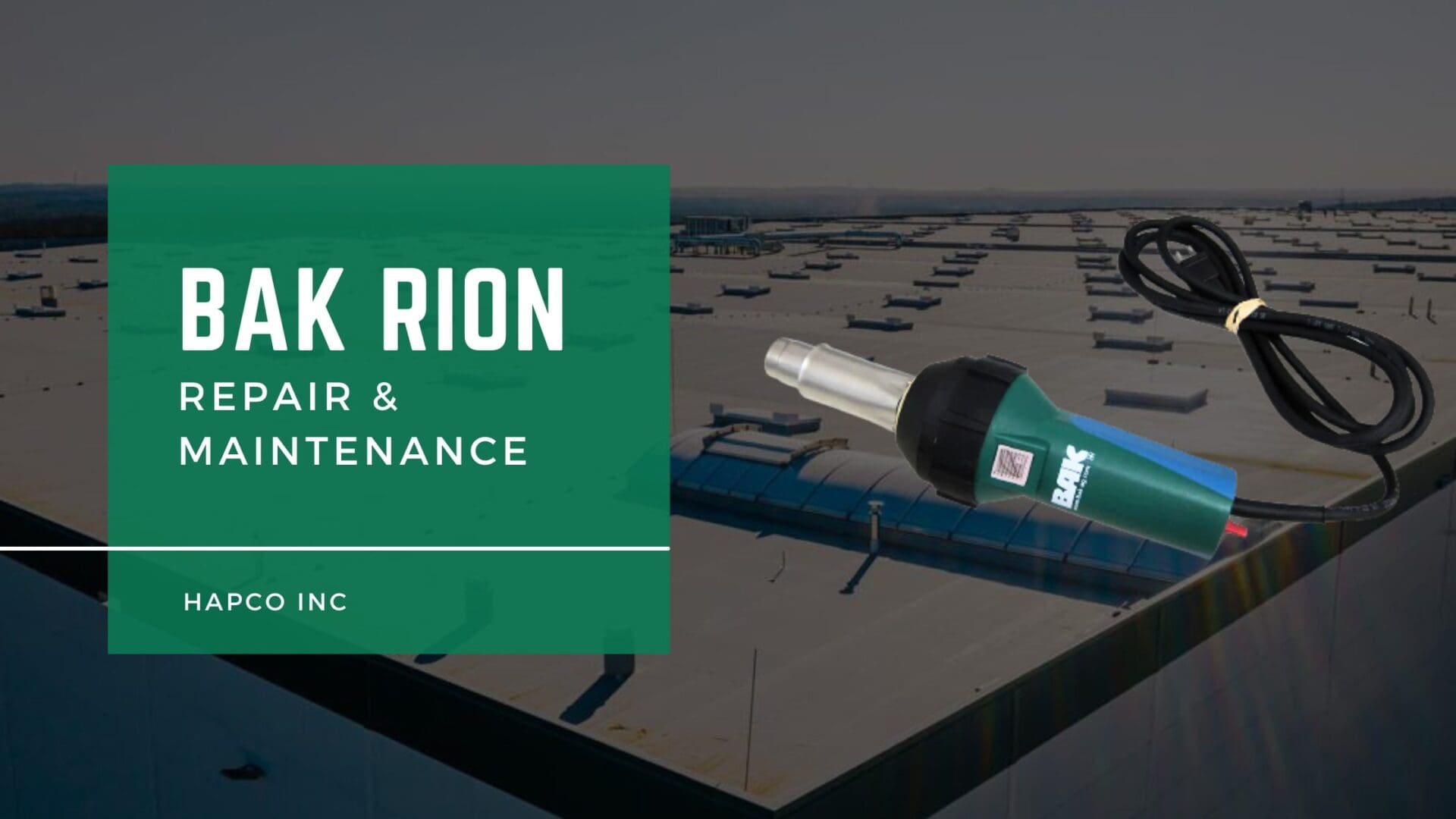 BAK RiOn repair and maintenance guide blog banner